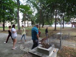 SAM_0942