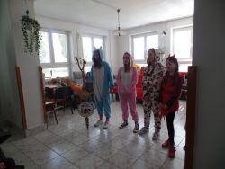 SAM_1735