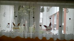 IMG_20180327_083620