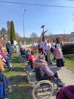 IMG_20260318_111156